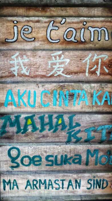  Cultural diversity is reflected in the languages spoken in a country. Photo by Hannah Wright on Unsplash.